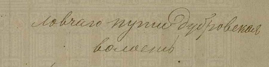 РГАДА, ф.1209, оп.73і, с.518-Ловчий путь-Дубровская волость.JPG