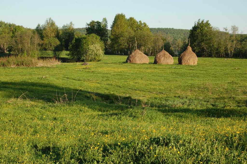 DSC_2530.JPG