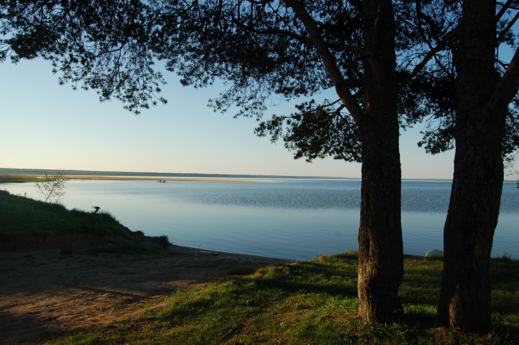 DSC_2802.JPG