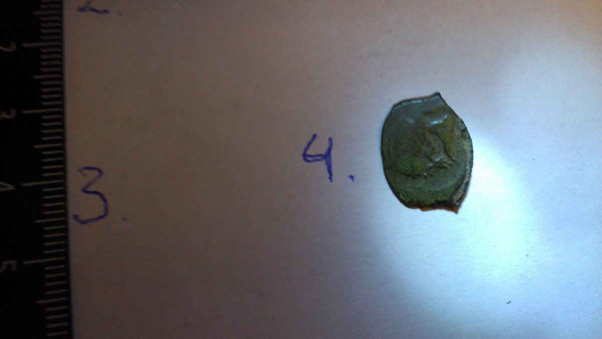 IMAG0305.jpg