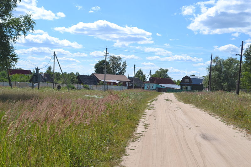 Нарлекс-Катчиково (Шатурский район).JPG