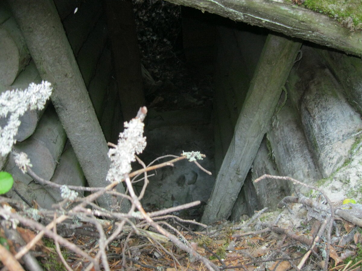 IMG_6410.JPG