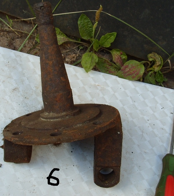 S1050086 (1).JPG