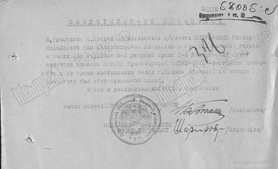петушкевич 3.png