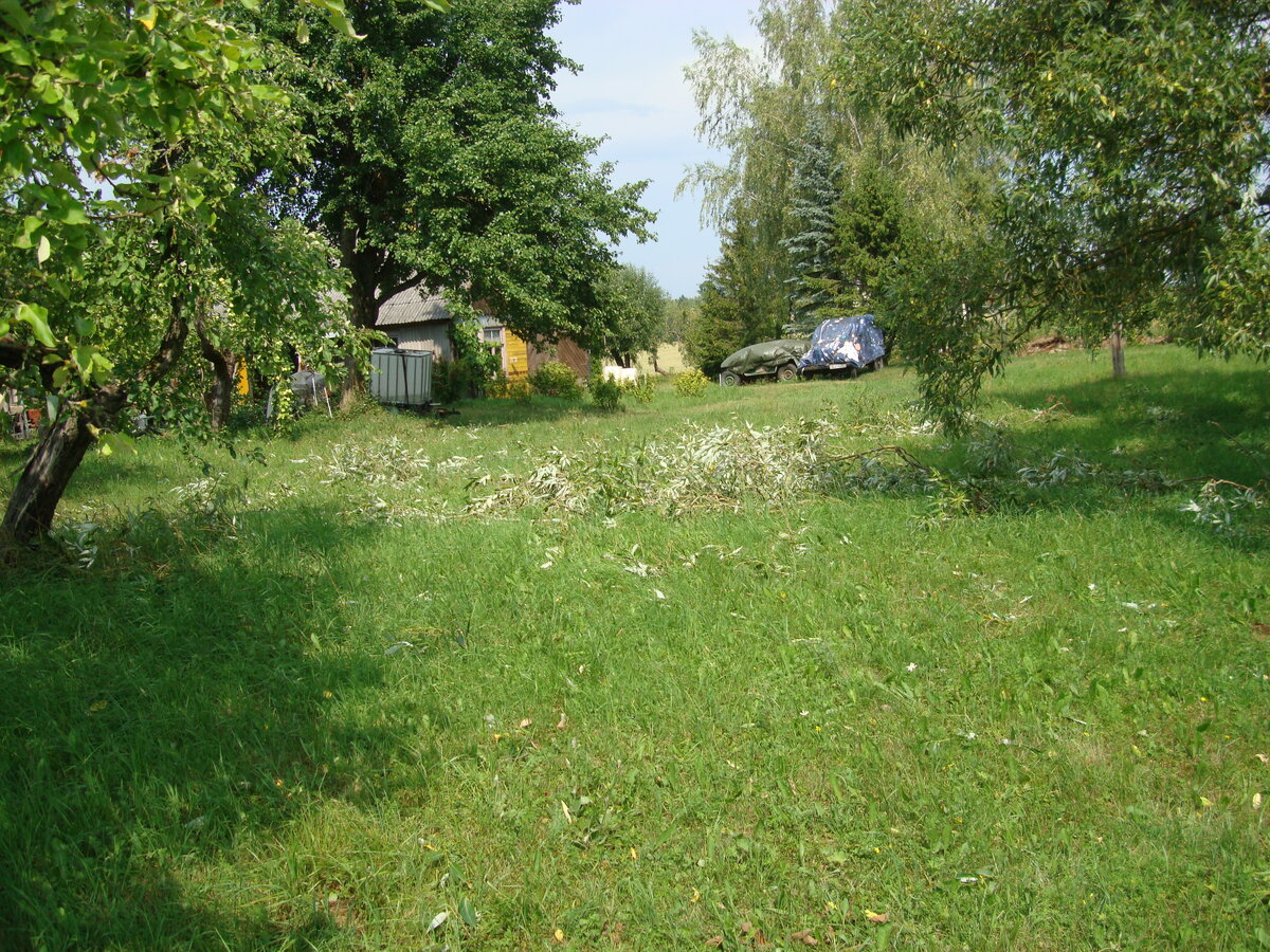 DSC09314.JPG