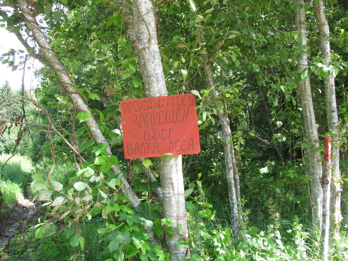 IMG_0706.JPG