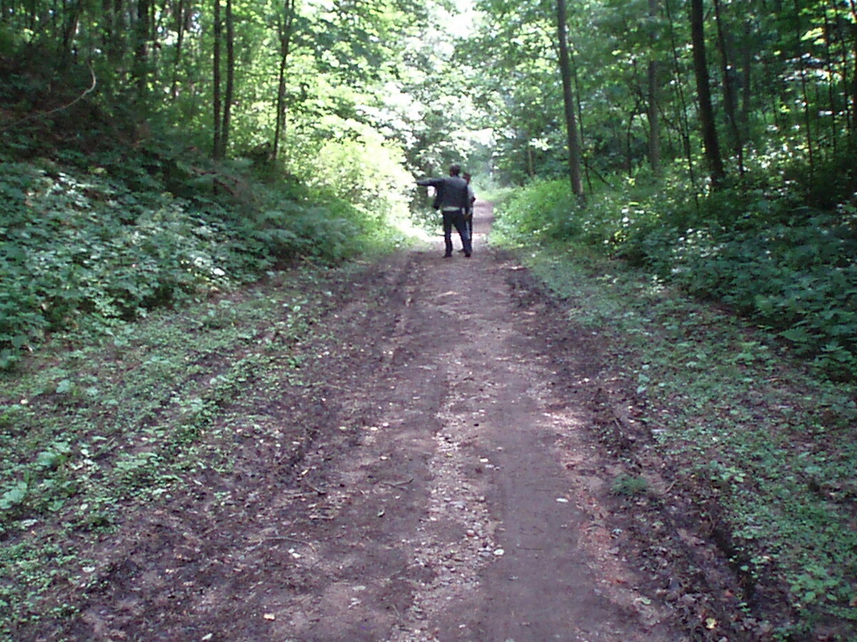 pushgori_10.07.2013_008.jpg