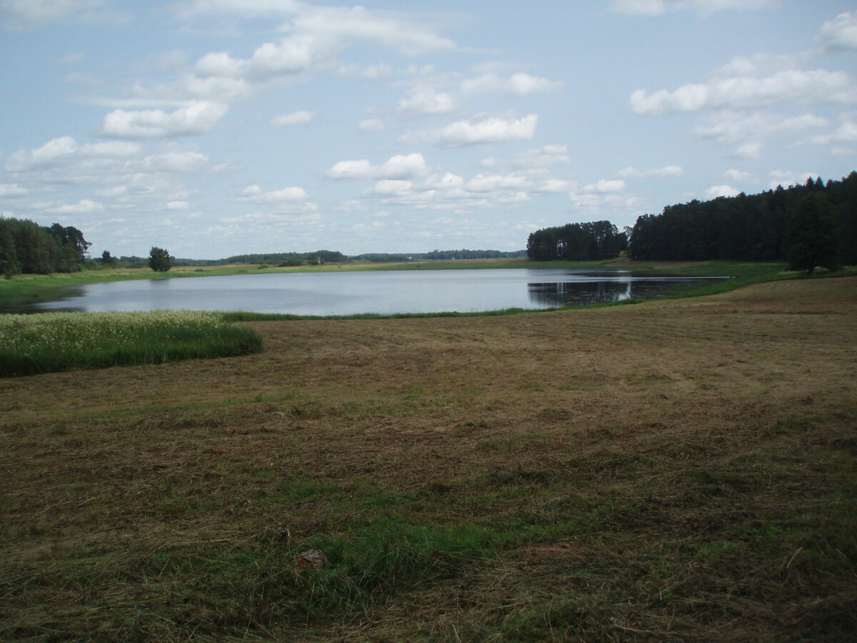 pushgori_10.07.2013_012.jpg