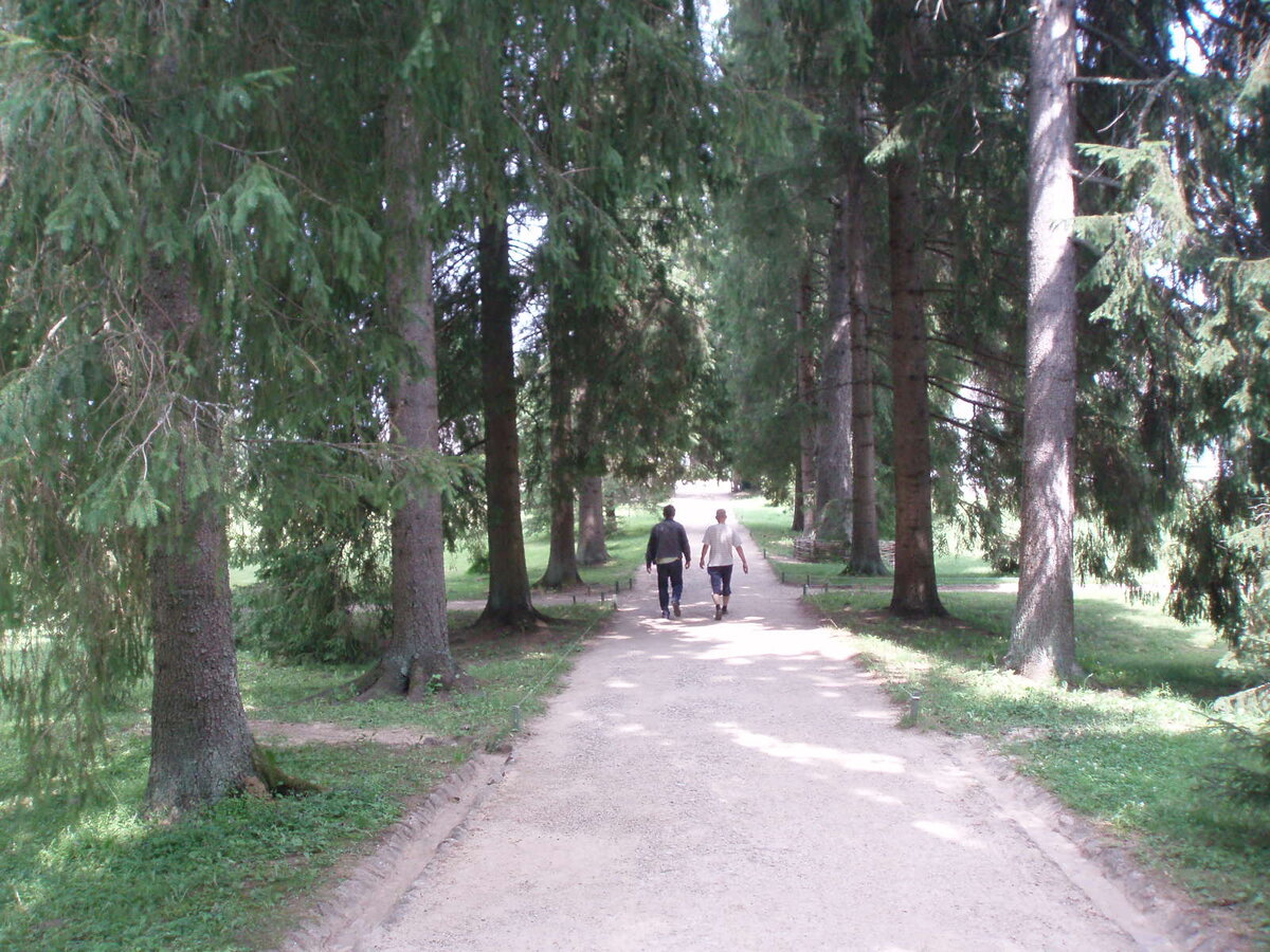 pushgori_10.07.2013_034.jpg