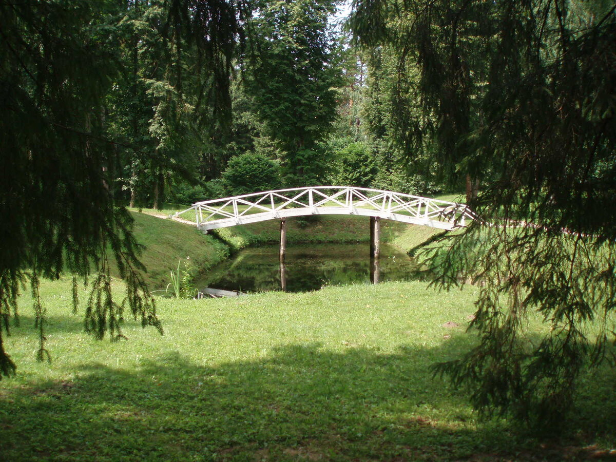 pushgori_10.07.2013_036.jpg