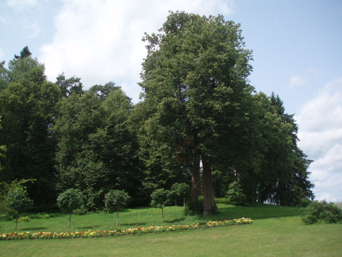 pushgori_10.07.2013_040.jpg