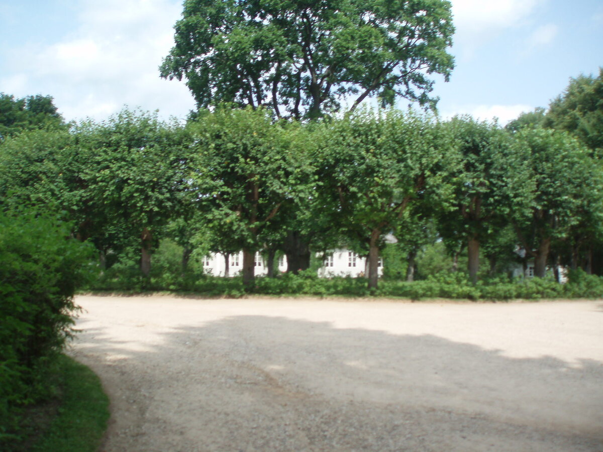 pushgori_10.07.2013_043.jpg