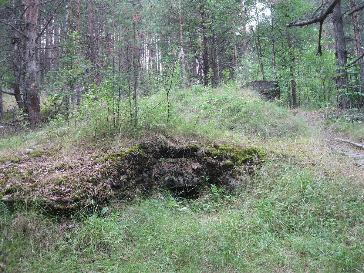 IMG_6480.JPG