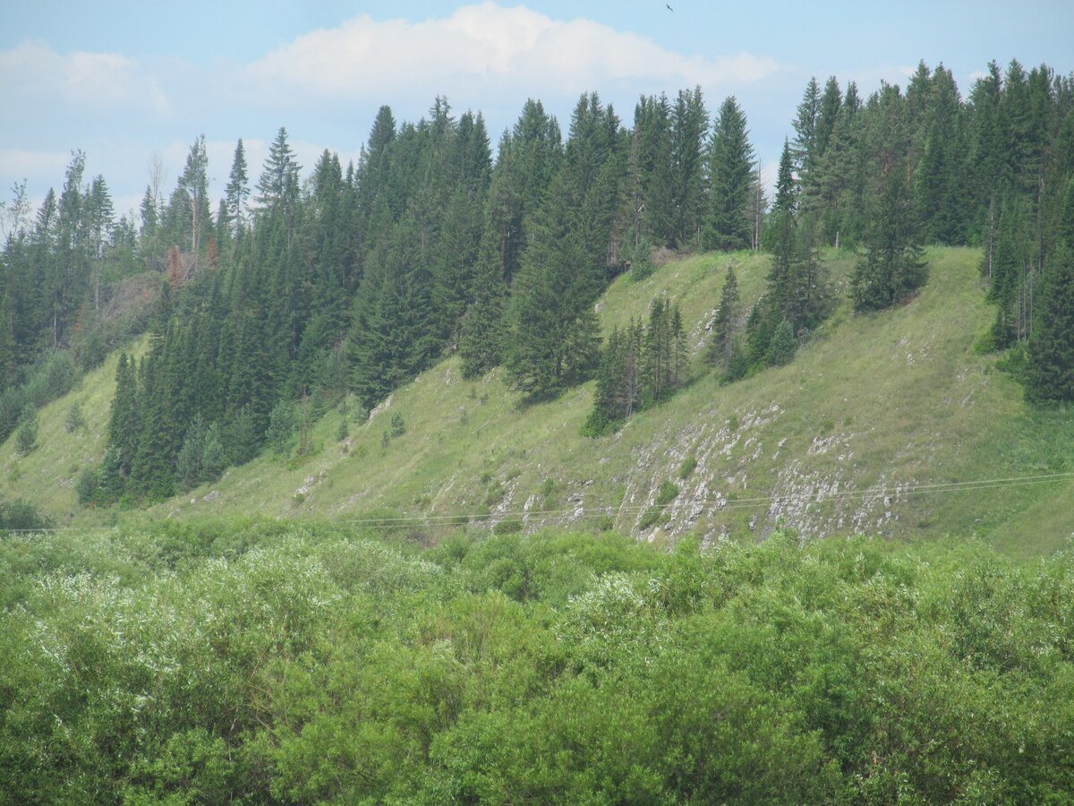 IMG_0096.JPG