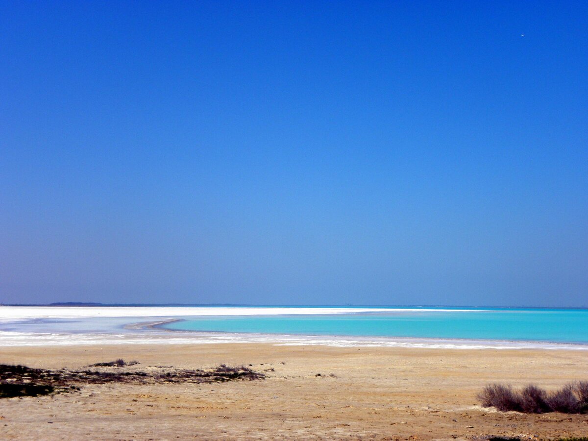 DSCN7924.JPG