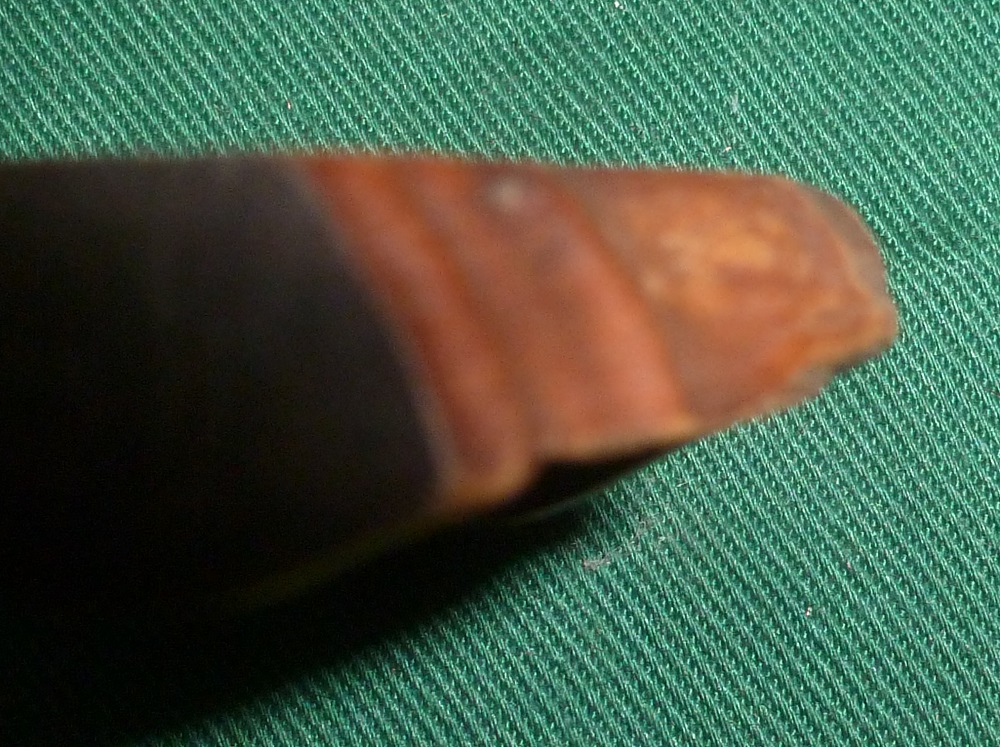 P1600391.JPG