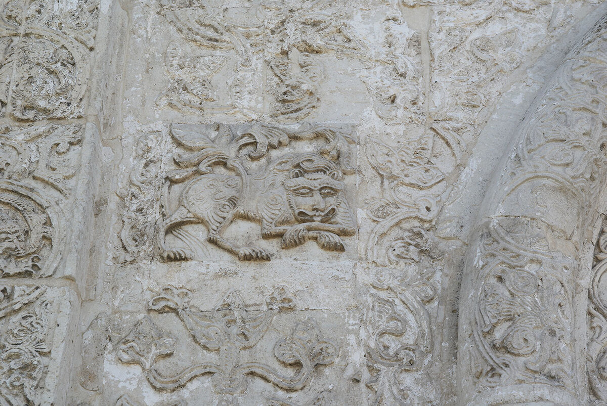 _DSC9856.jpg