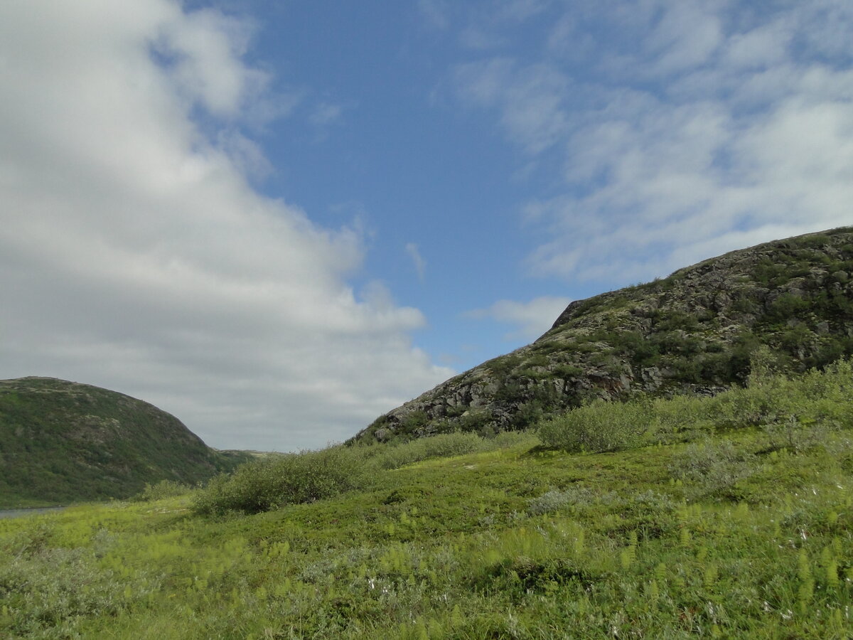 DSC03082.JPG