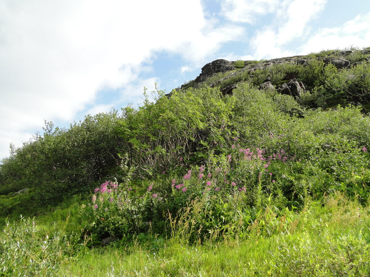 DSC03107.JPG