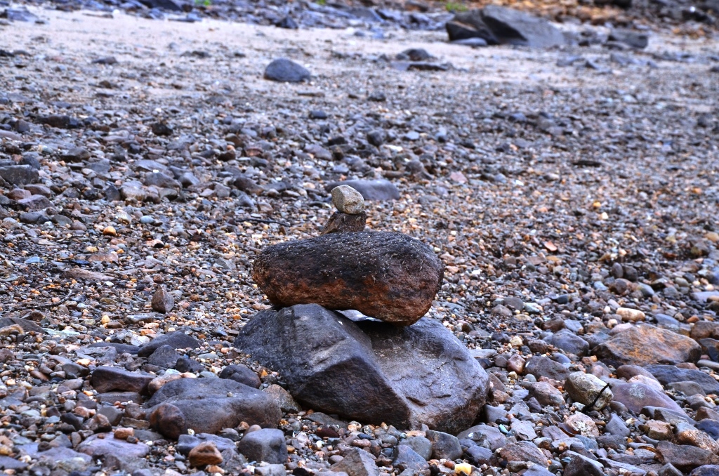 DSC_0092.JPG