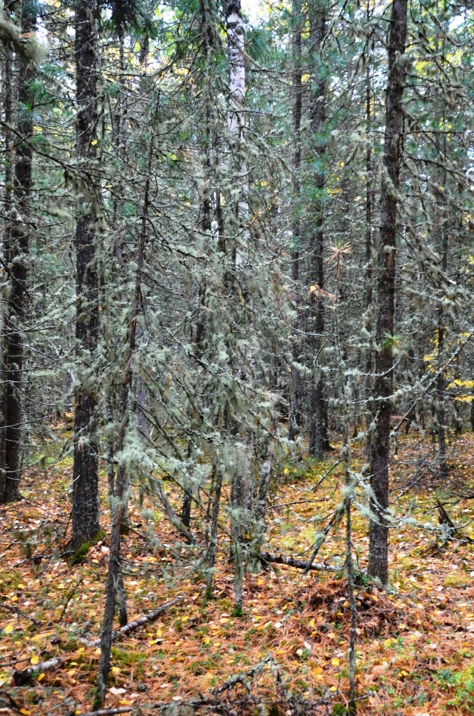 DSC_0128.JPG