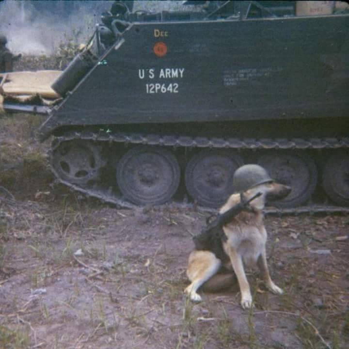 0 _ h м-113.jpg