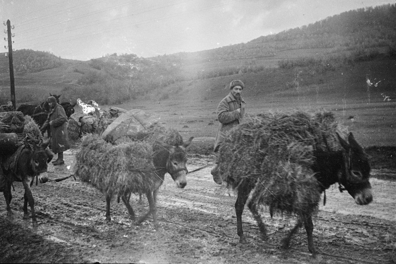 0 _ h обоз 1-го Украинского фронта. 1944.jpg