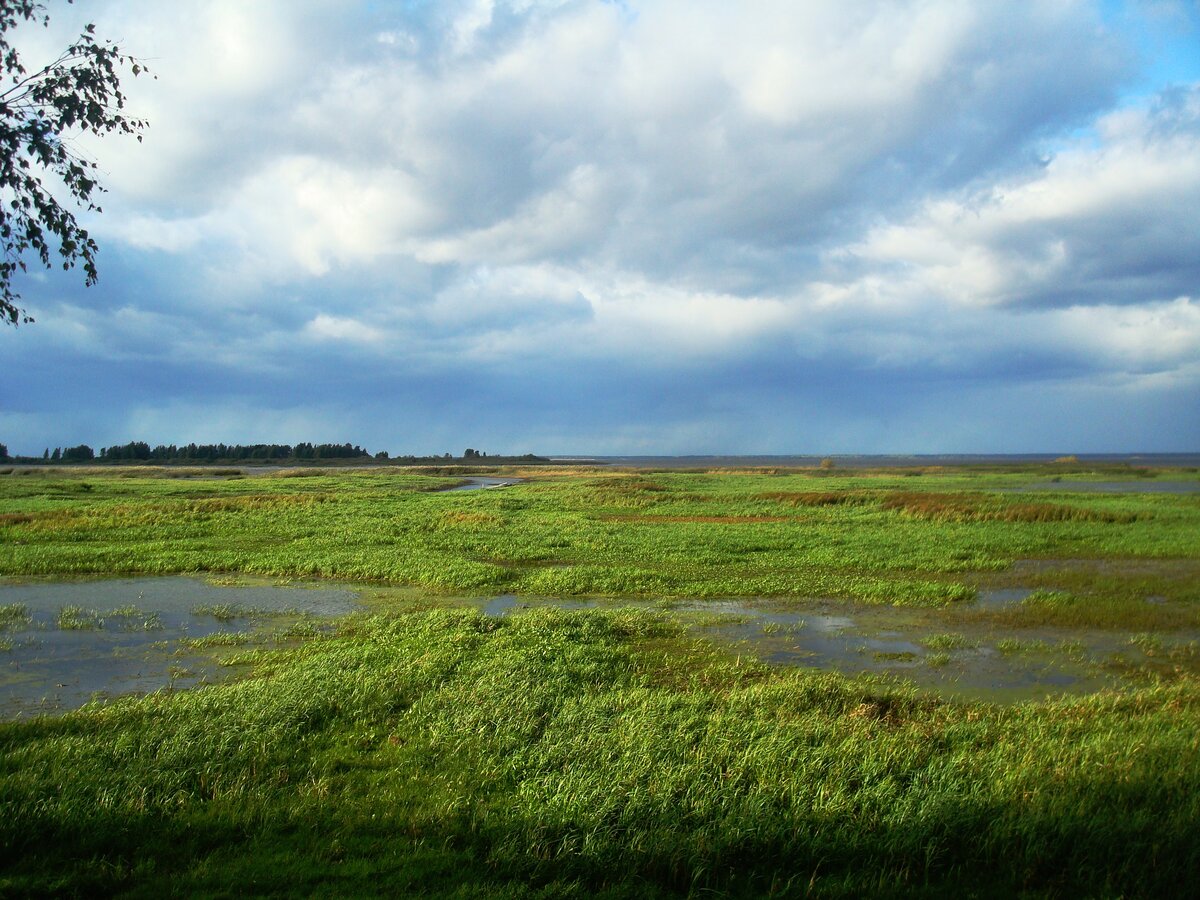 DSC00725.JPG