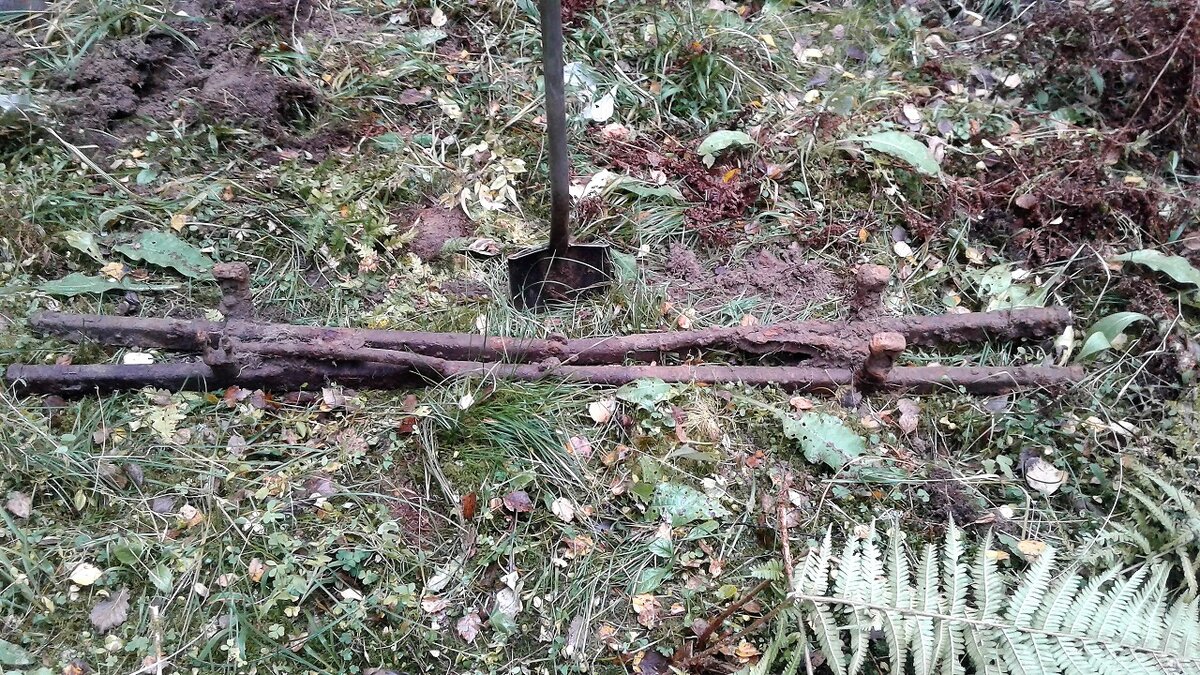 20181009_153752.jpg
