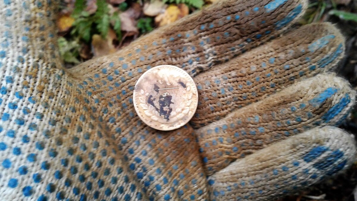 20181009_163847.jpg