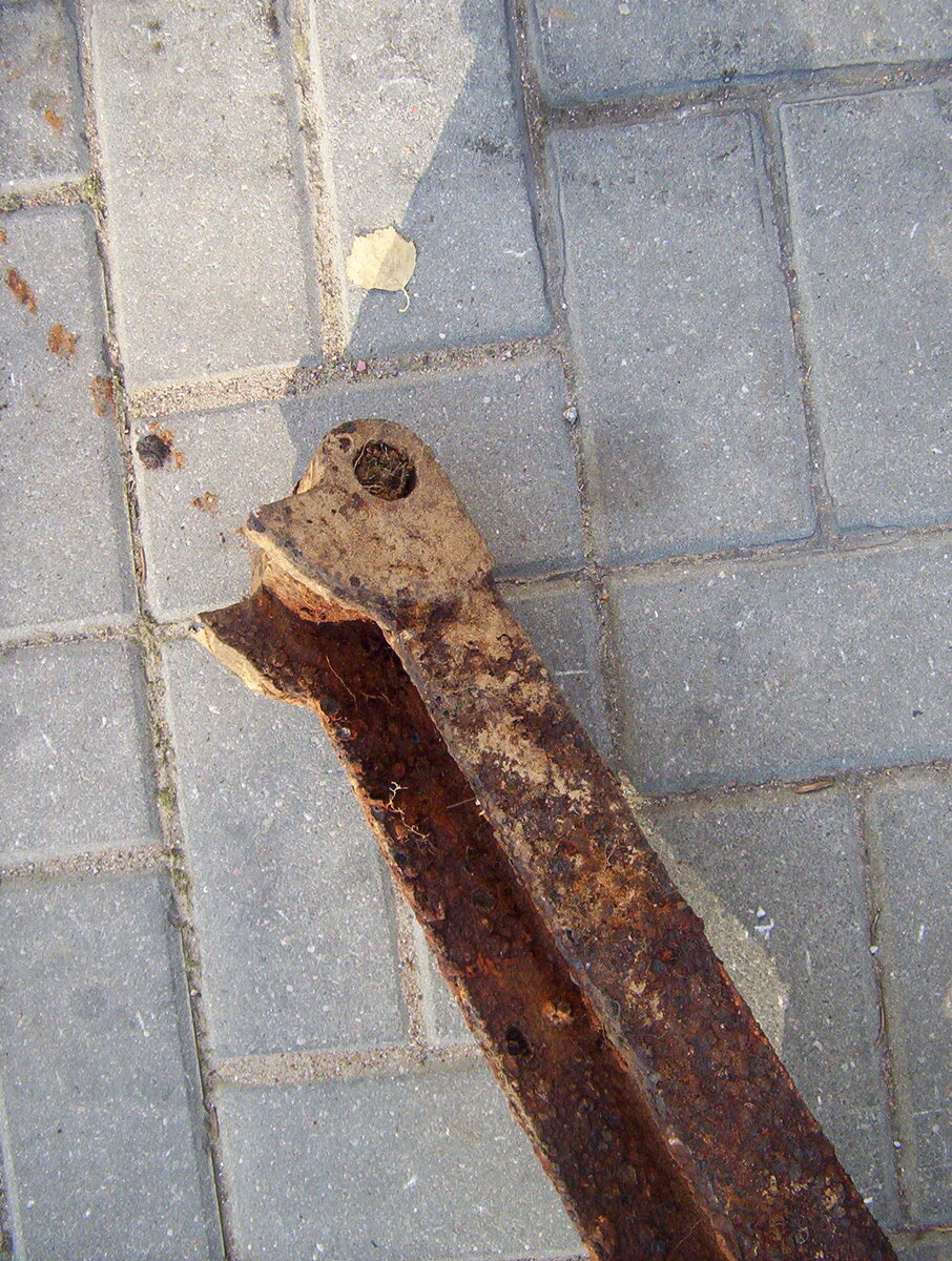 102_1010.JPG