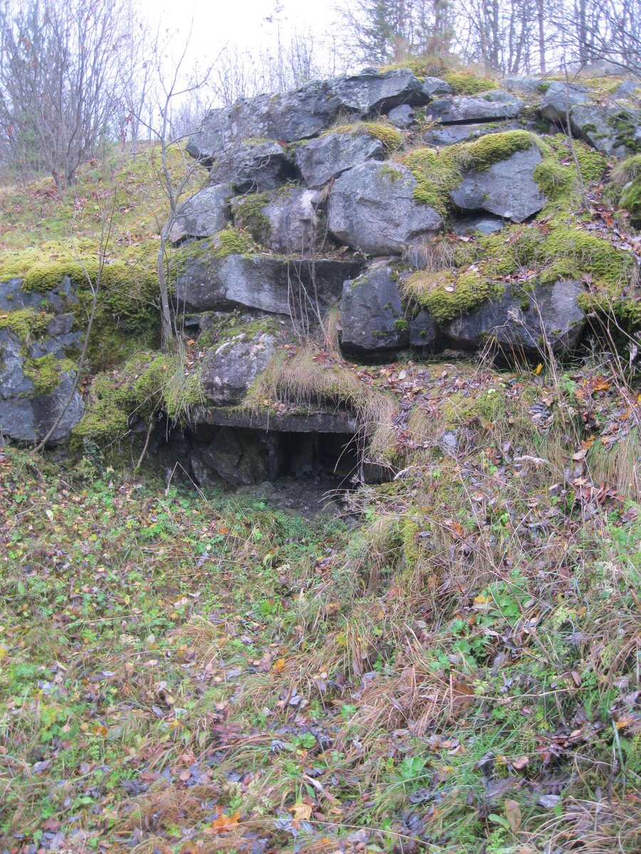 IMG_7111.JPG