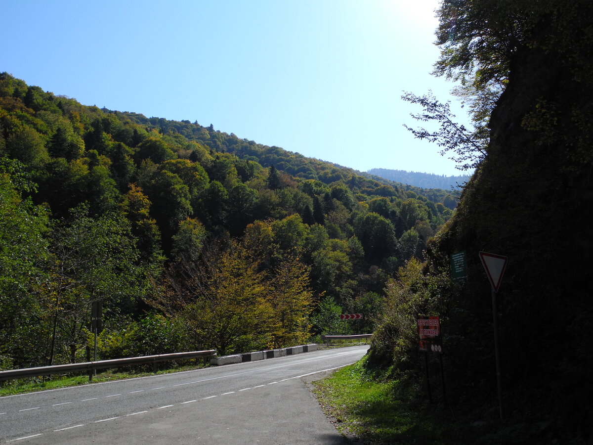 DSCN0830.JPG