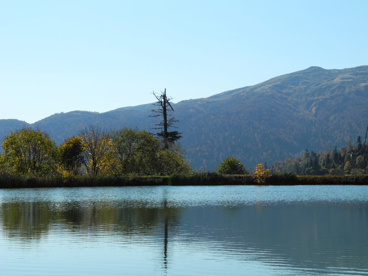 DSCN0838.JPG
