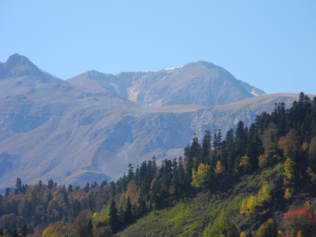 DSCN0840.JPG