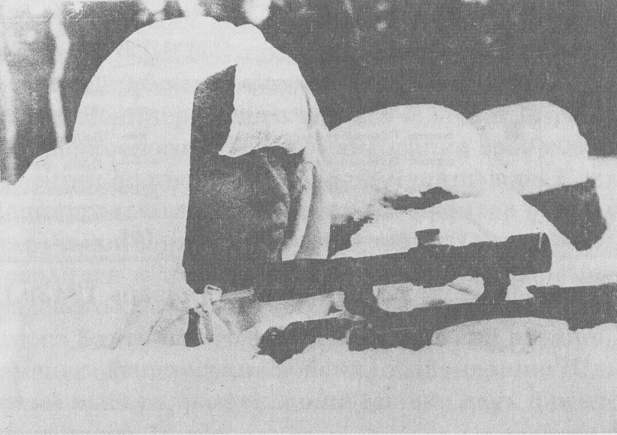 hero Vezlitsev.jpg