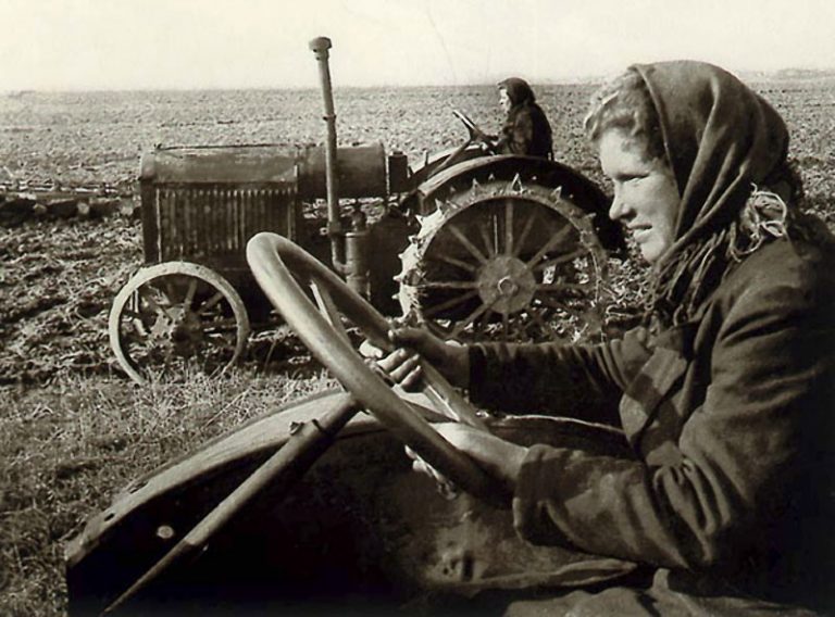 kolhoz-768x568.jpg