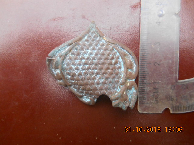 DSCN3310.JPG
