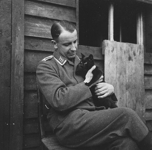 0 _ h 0 + кот.jpg