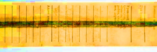 17dc9ea97259d.jpg