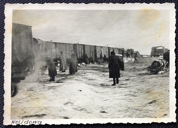 Nelidovo.jpg