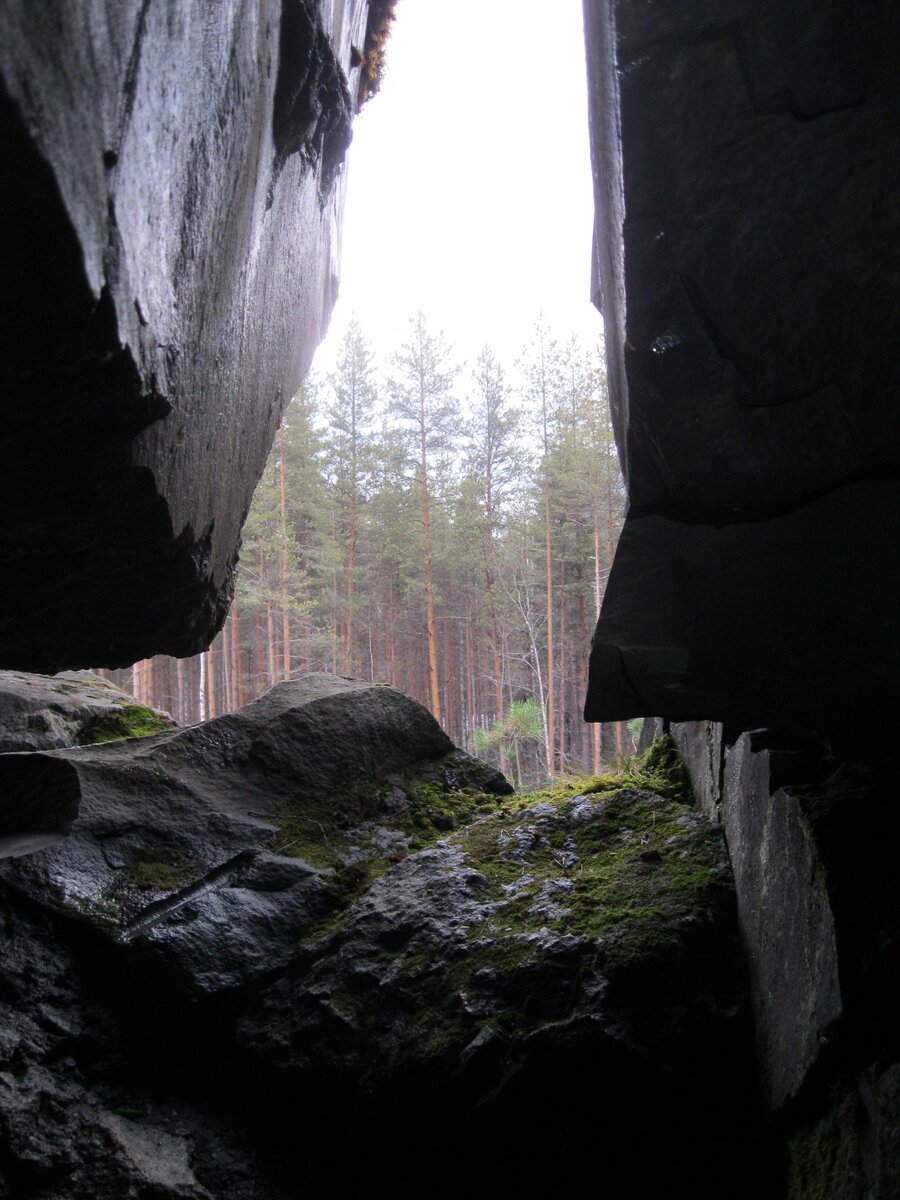 IMG_7292.JPG