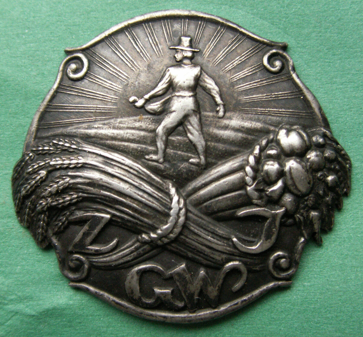 Знак польши