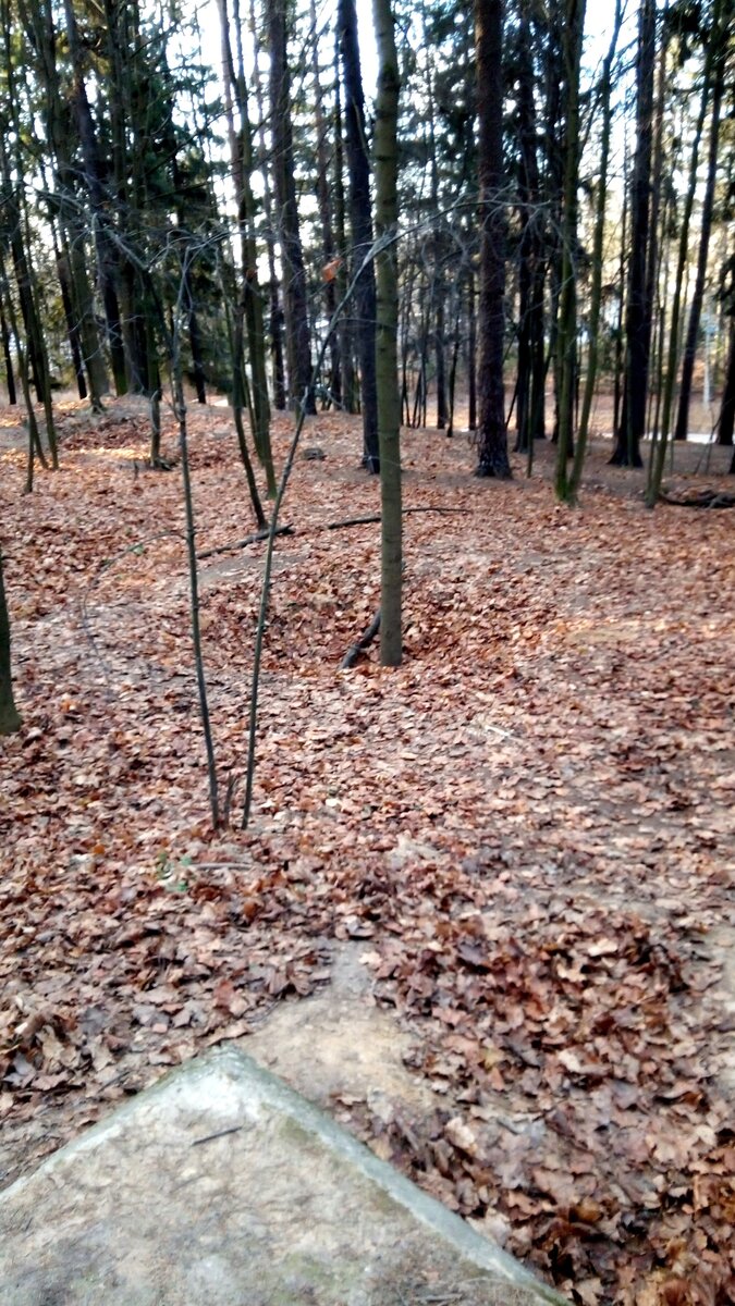 IMG_20181124_142740.jpg
