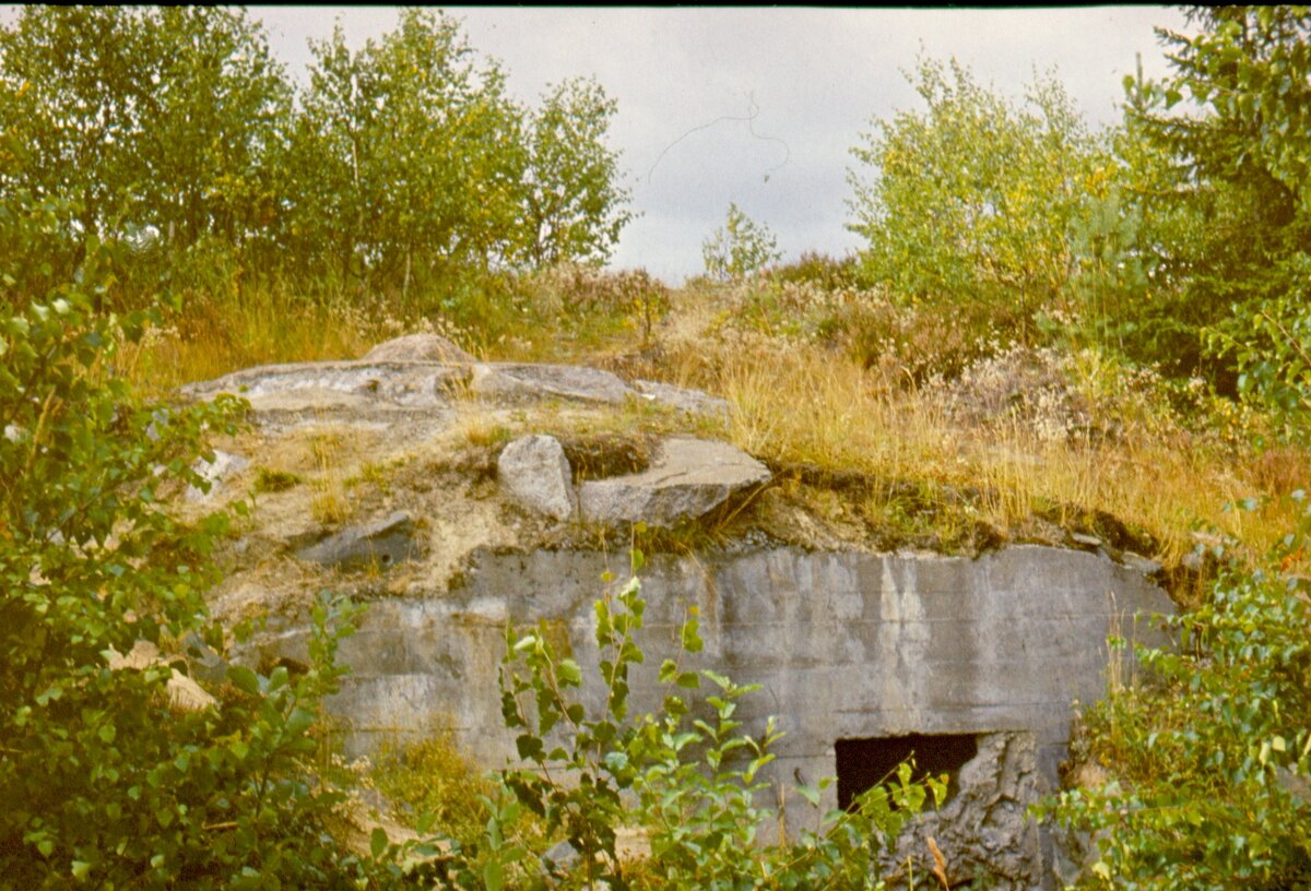 сканирование0027.jpg