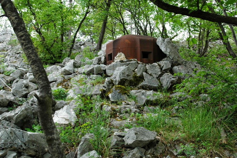 DSC_3742.JPG