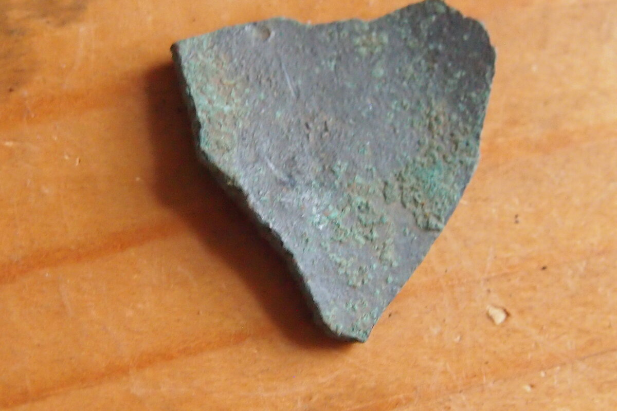 P1011756.JPG