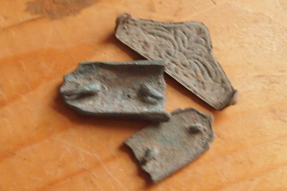 P1011764.JPG