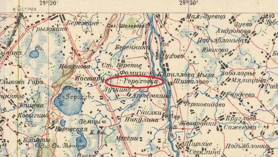 гороховка.jpg