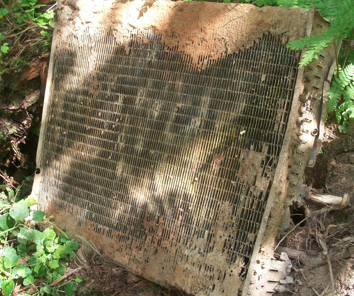 100_4877.JPG
